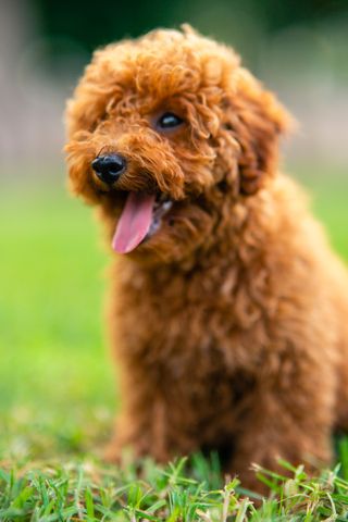 Fotógrafo en Valencia