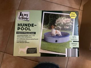 Piscina per cani