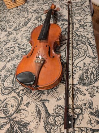 Violín