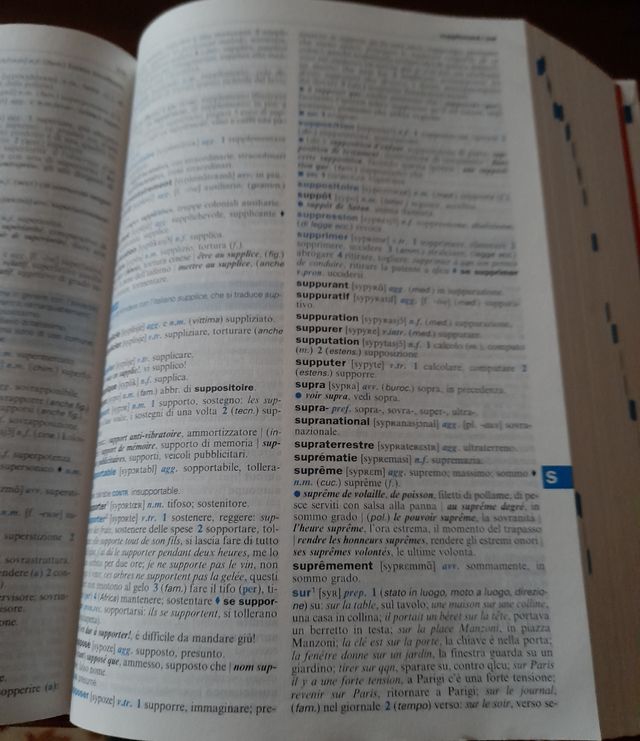 Dizionario francese italiano