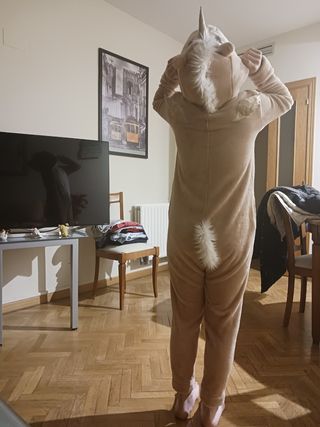 Pijama de unicornio