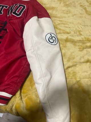 Chaqueta bomber 