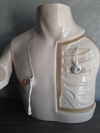 Simulador Sanitario Torso