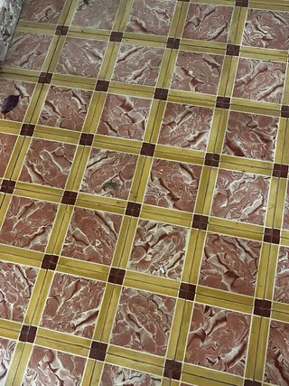 45€/m2 Suelo hidráulico con mosaico