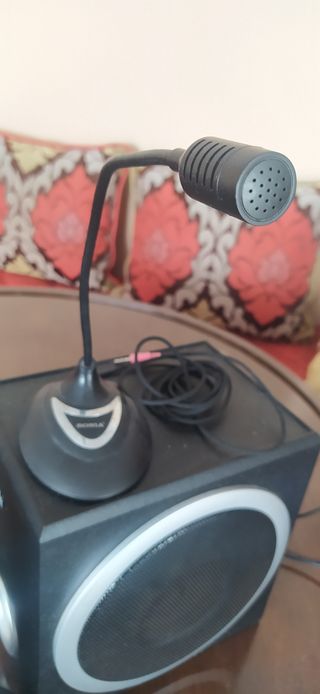 Altavoces subwoofer y micrófono