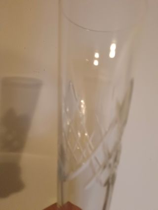 Vasos de cerveza