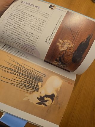 Libro D'arte Giapponese Manga Animali
Libro D'arte
