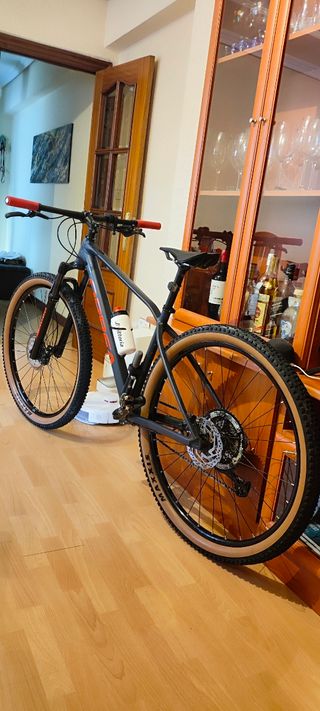 Bicicleta rin 29 Orbea Alma