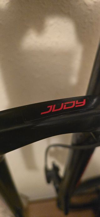 Bicicleta rin 29 Orbea Alma