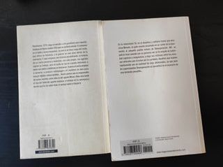 Libros Stephen King Buick 8 Desesperación
