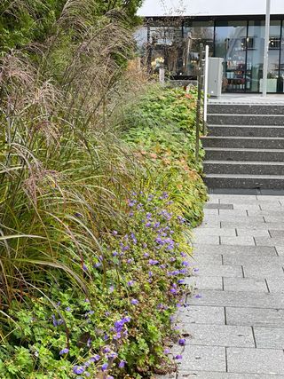 Jardinero y paisajista