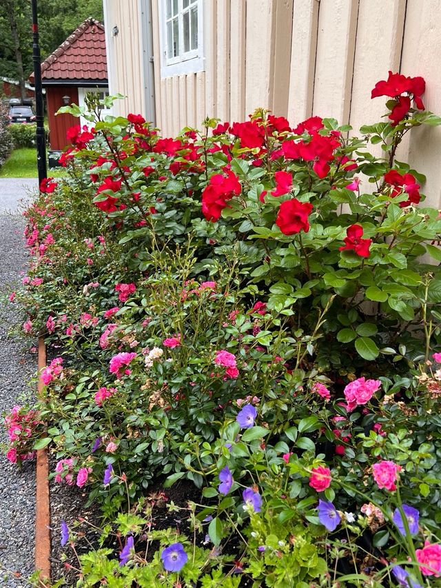 Jardinero y paisajista