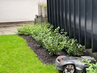 Jardinero y paisajista