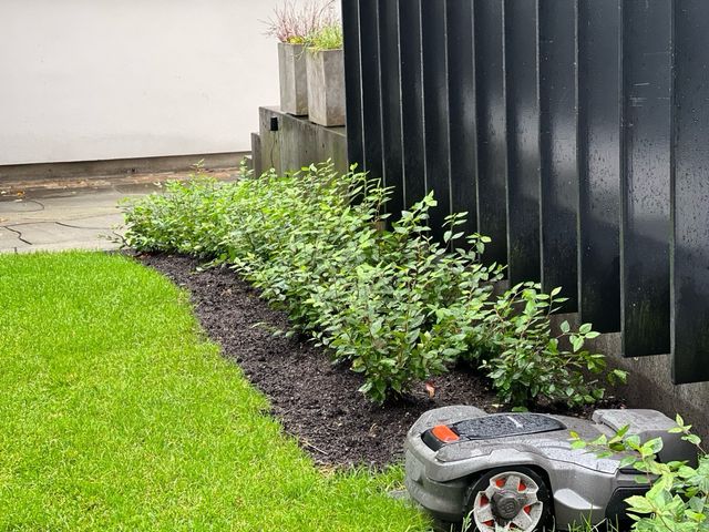 Jardinero y paisajista