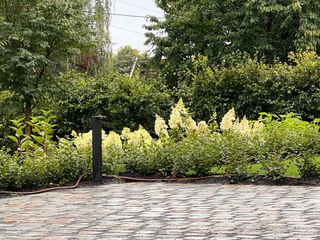 Jardinero y paisajista