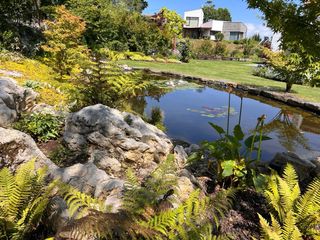 Jardinero y paisajista