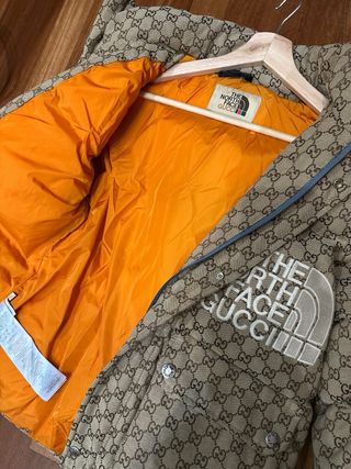 Chaqueta invierno plumas de gucci y north face