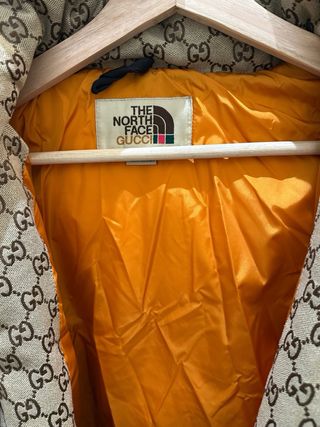 Chaqueta invierno plumas de gucci y north face