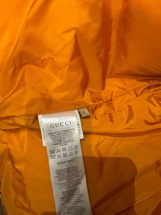 Chaqueta invierno plumas de gucci y north face