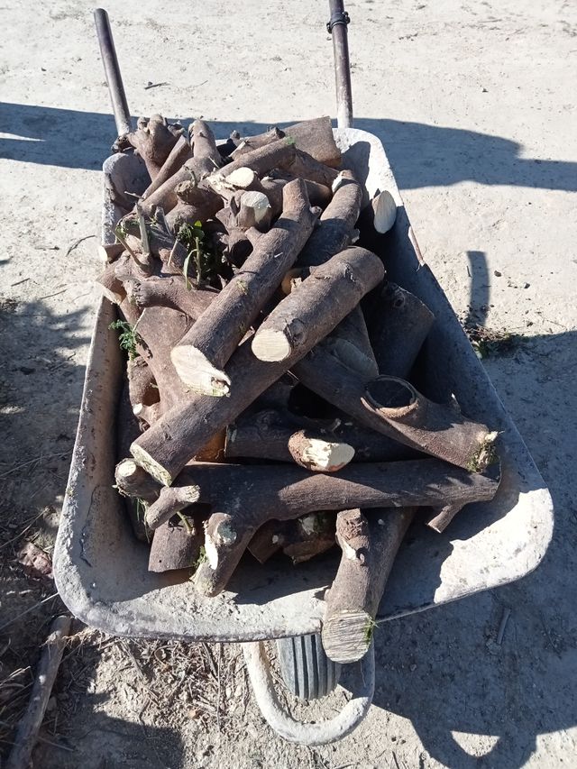 Madera de naranjo y olivo