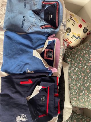 Lote completo de 25 polos ( sueltos no )