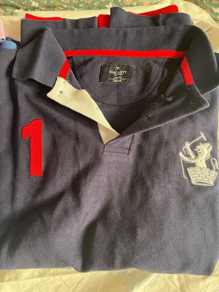 Lote completo de 25 polos ( sueltos no )