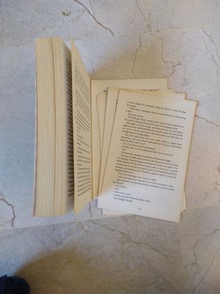 The Invisible Man from Salem: a Leo Junker case