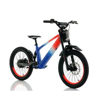 Bicicleta eléctrica Roan RXF / RFN Evo 20"