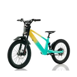 Bicicleta eléctrica Roan RXF / RFN Evo 20"