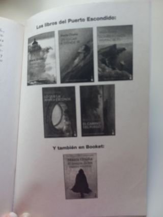 El camino del fuego: Los libros del Puerto Escondido 5