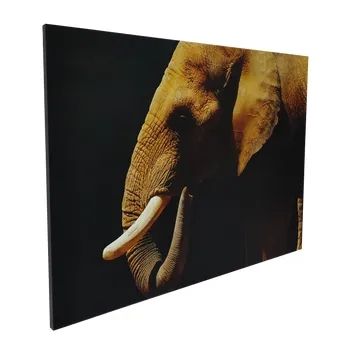CANVAS ELEFANTE lienzo