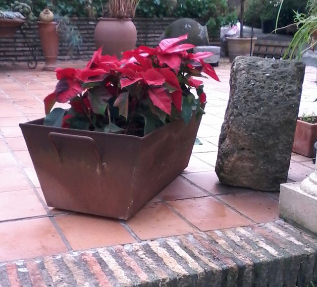 Jardineras antiguas