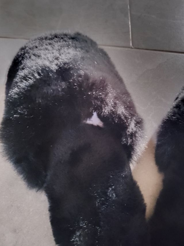 Pantofole in pelo nere Tezenis