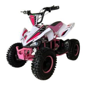 Mini quad eléctrico con bateria extraible 1000W