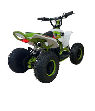 Mini quad eléctrico con bateria extraible 1000W