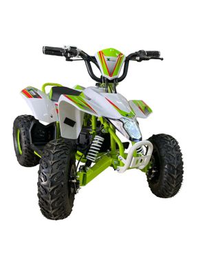 Mini quad eléctrico con bateria extraible 1000W