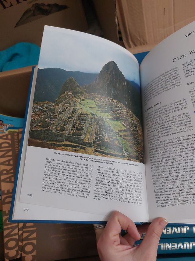 ENCICLOPEDIA LECTUM JUVENIL