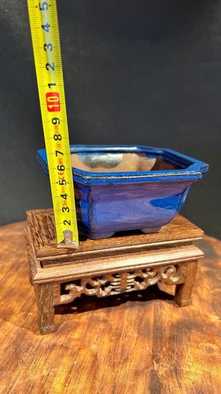 MACETA BONSAI MAME SHOHIN RECTANGULAR AZUL