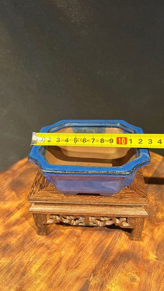 MACETA BONSAI MAME SHOHIN RECTANGULAR AZUL