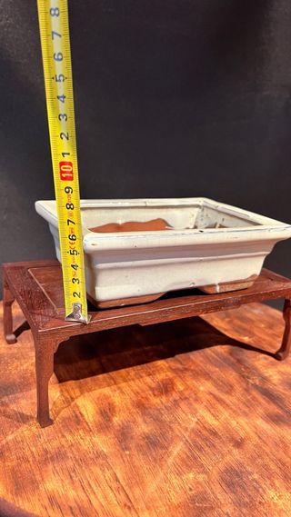 MACETA BONSAI MAME SHOHIN RECTANGULAR BLANCA