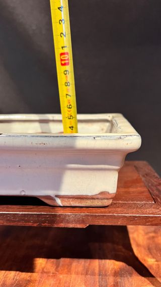 MACETA BONSAI MAME SHOHIN RECTANGULAR BLANCA