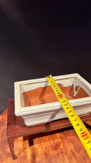 MACETA BONSAI MAME SHOHIN RECTANGULAR BLANCA