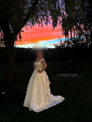Vestido de novia de Pronovias