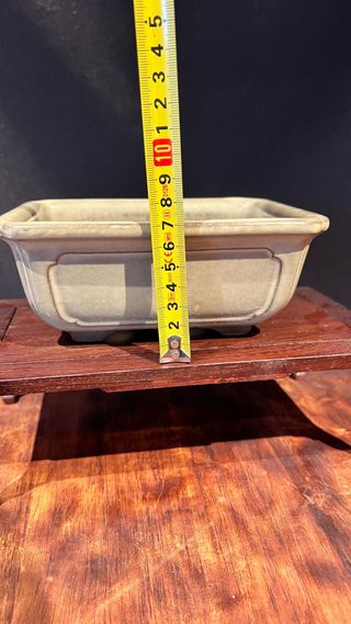 MACETA BONSAI MAME SHOHIN RECTANGULAR BLANCA