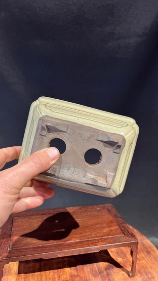 MACETA BONSAI MAME SHOHIN RECTANGULAR BLANCA