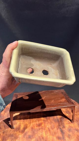 MACETA BONSAI MAME SHOHIN RECTANGULAR BLANCA