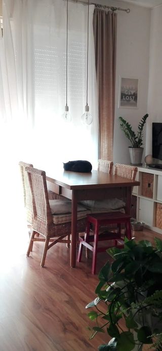 SET N.4 SEDIE RATTAN NATURALE MILADY