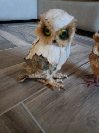 Coppia gufi in foglie di corteccia