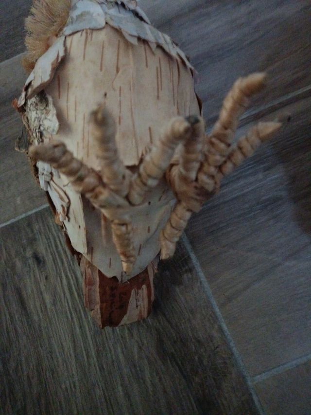 Coppia gufi in foglie di corteccia