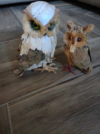 Coppia gufi in foglie di corteccia